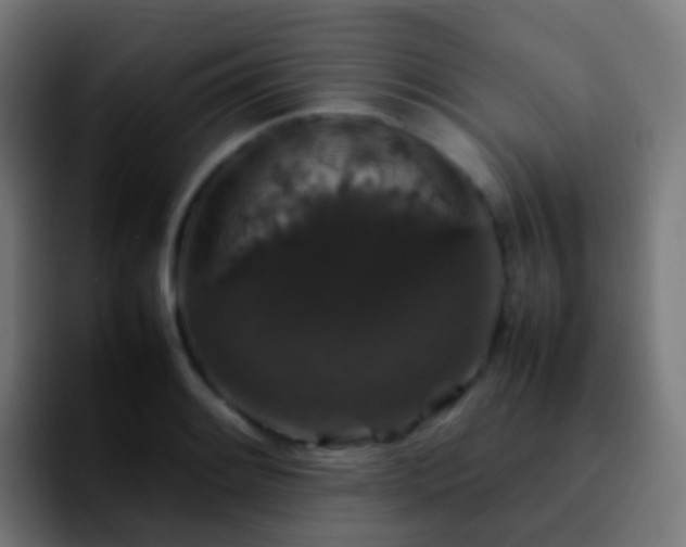 X0000092251084200709211057