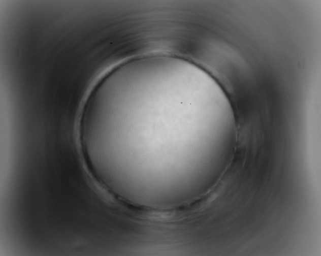 X0000092251086200709211057