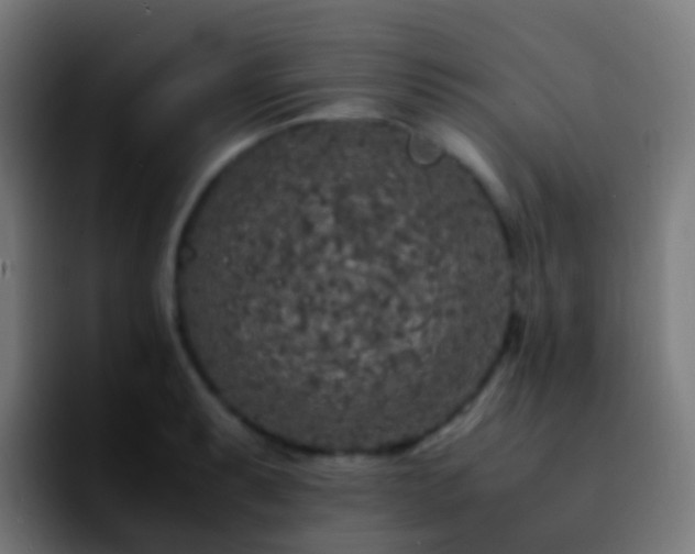 X0000092251087200709211057