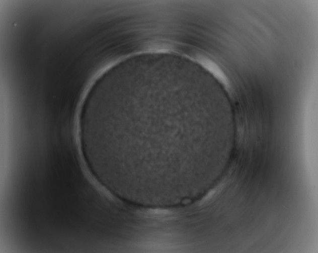 X0000092251088200709211057