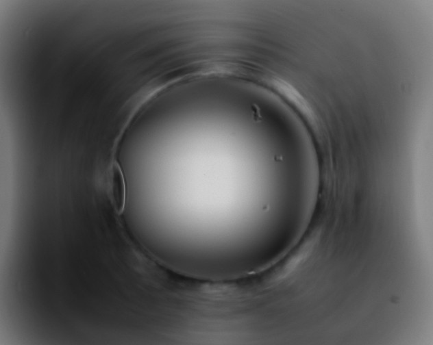 X0000092251089200709211057