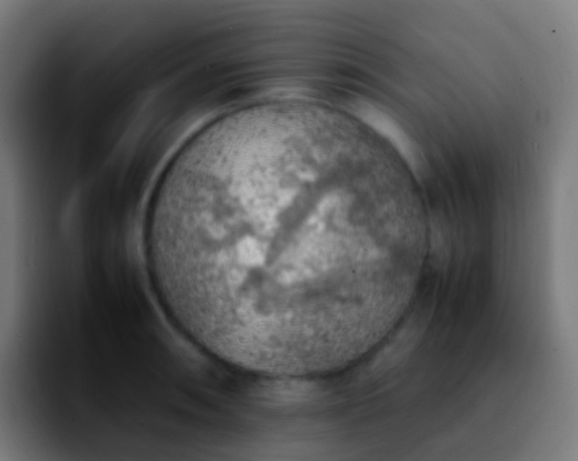 X0000092251090200709211057