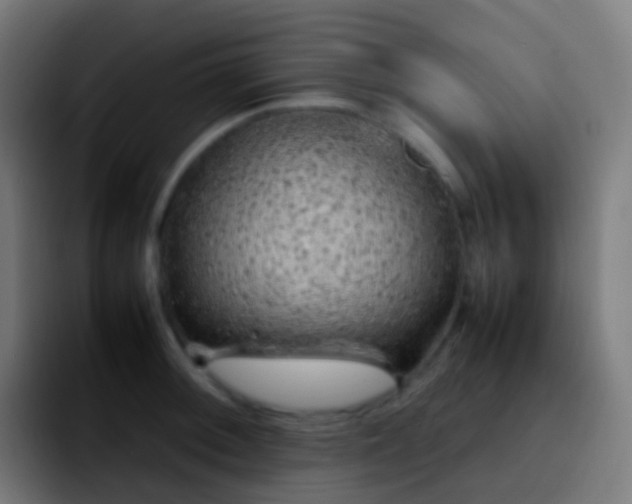 X0000092251092200709211057