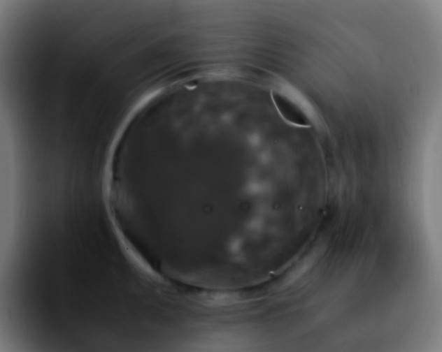 X0000092251095200709211057