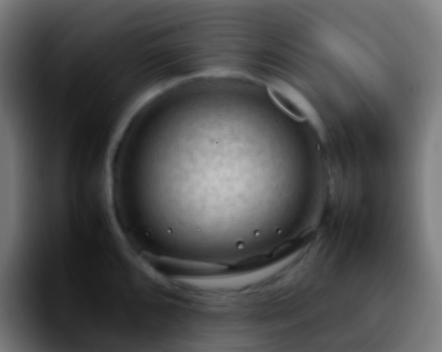 X0000092251096200709211057