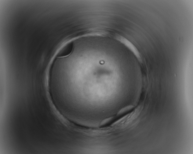 X0000092251099200709211057