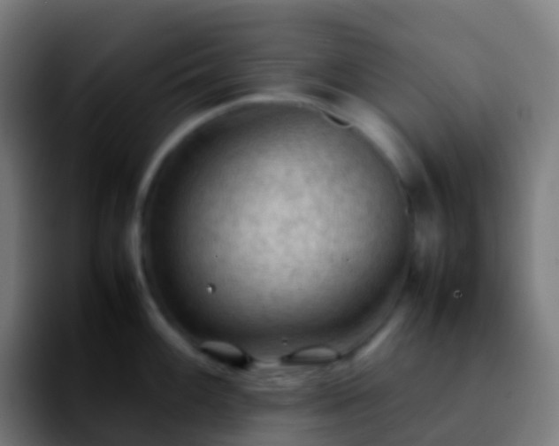 X0000092251100200709211057