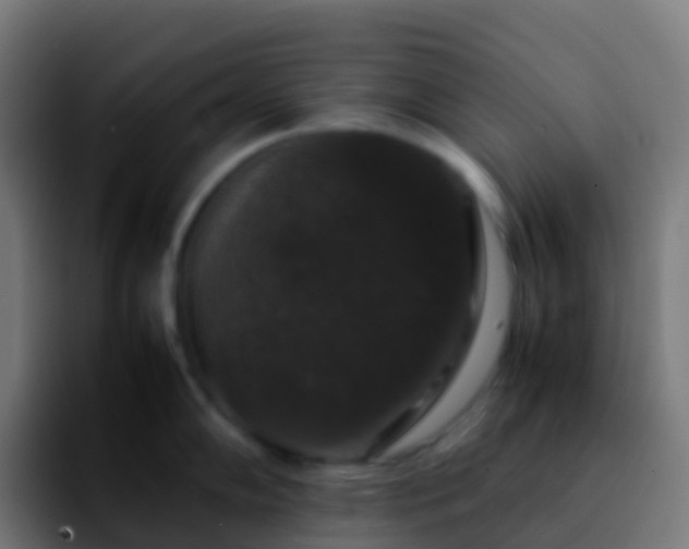 X0000092251102200709211057