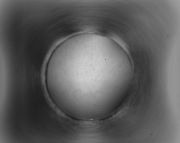 X0000092251104200709211057