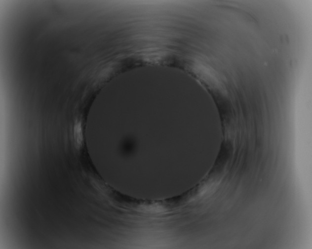 X0000092251106200709211056