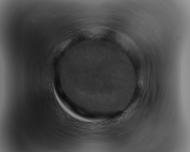 X0000092251108200709211056