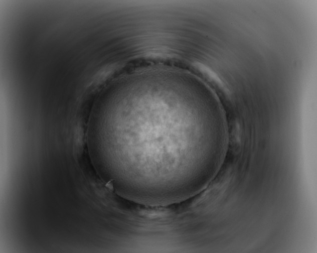 X0000092251110200709211056