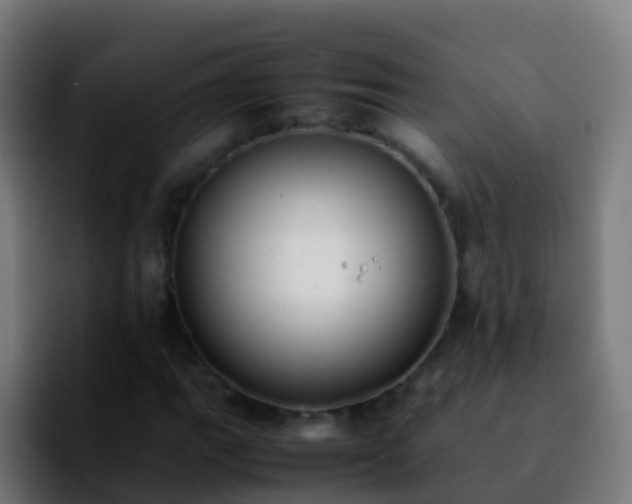 X0000092251111200709211056