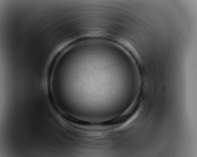 X0000092251114200709211056