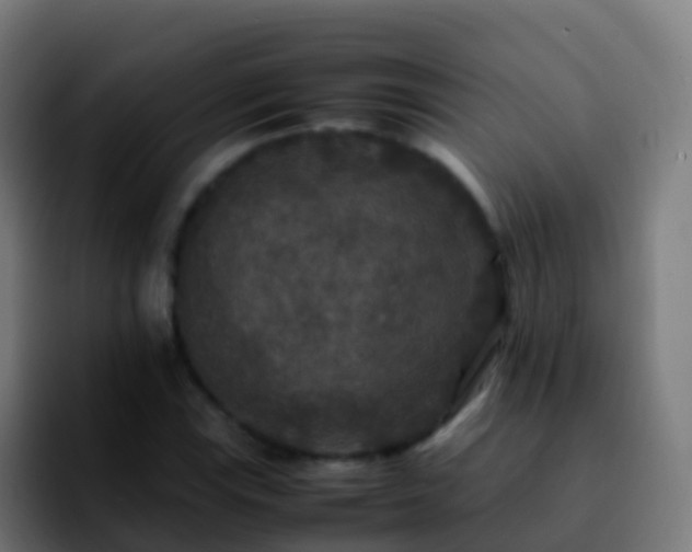 X0000092251115200709211056