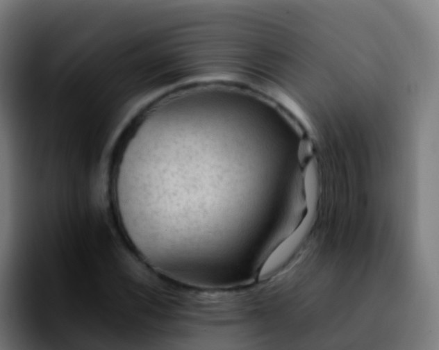 X0000092251116200709211056