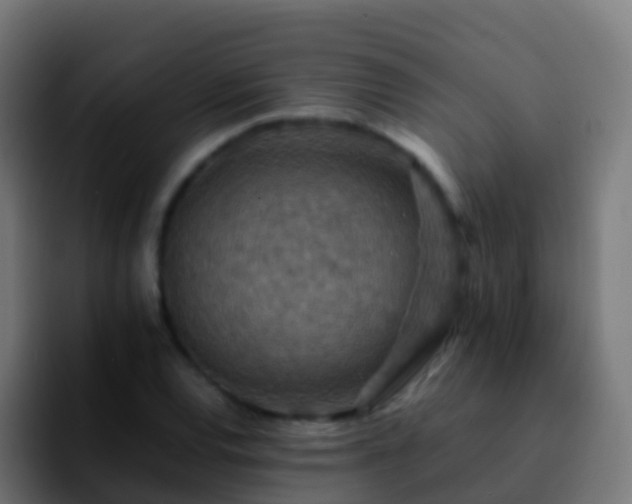 X0000092251120200709211056