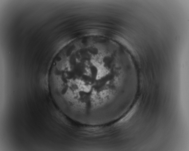 X0000092251121200709211056