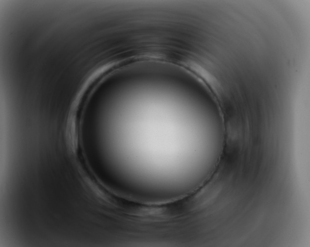 X0000092251123200709211056