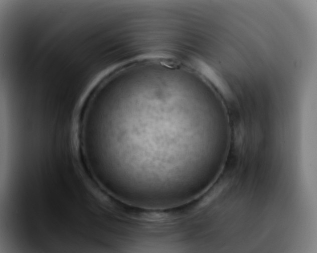 X0000092251124200709211056