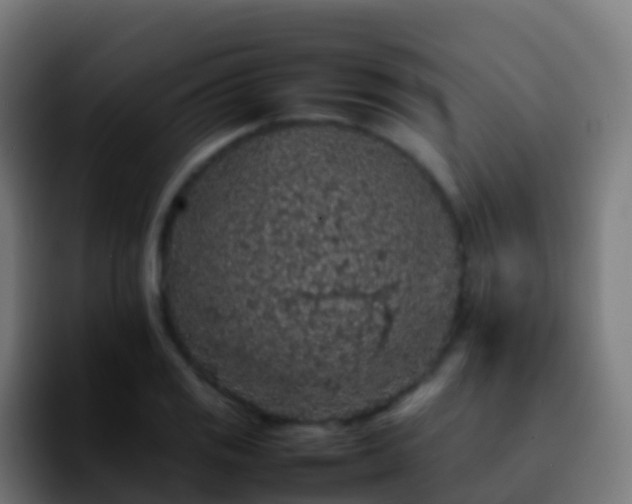 X0000092251125200709211056