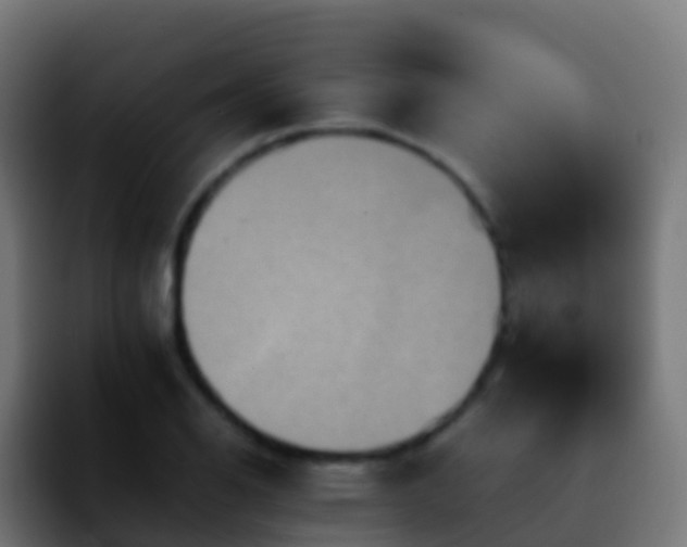 X0000092251126200709211056