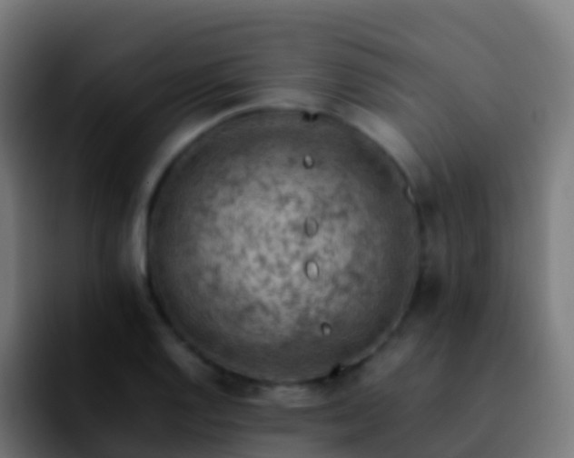 X0000092251128200709211056