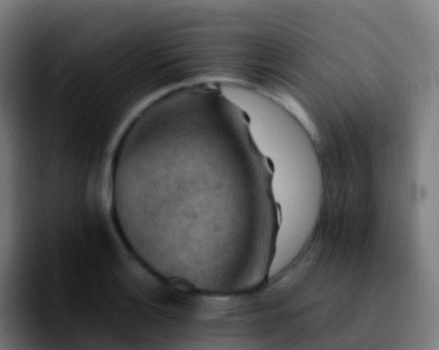 X0000092251132200709211056