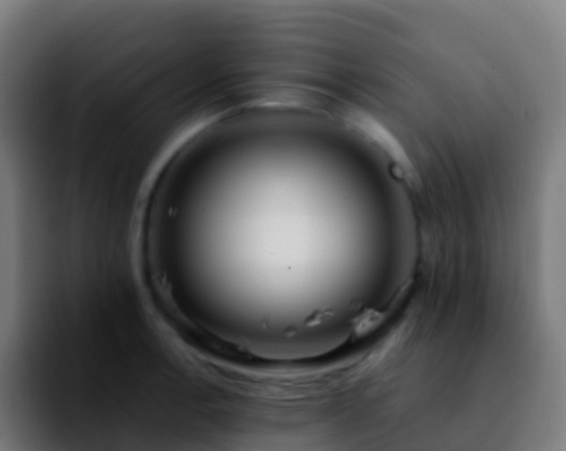 X0000092251138200709211057