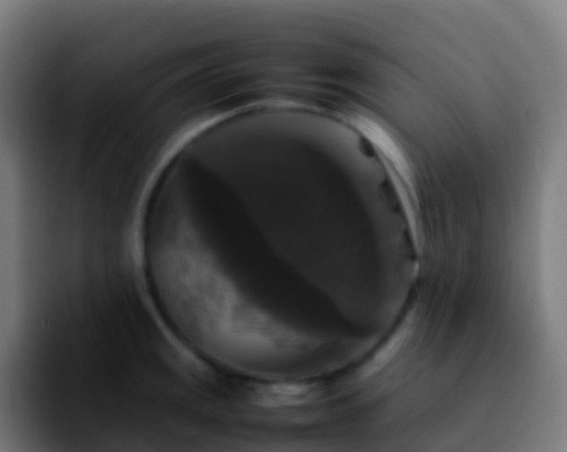 X0000092251141200709211057