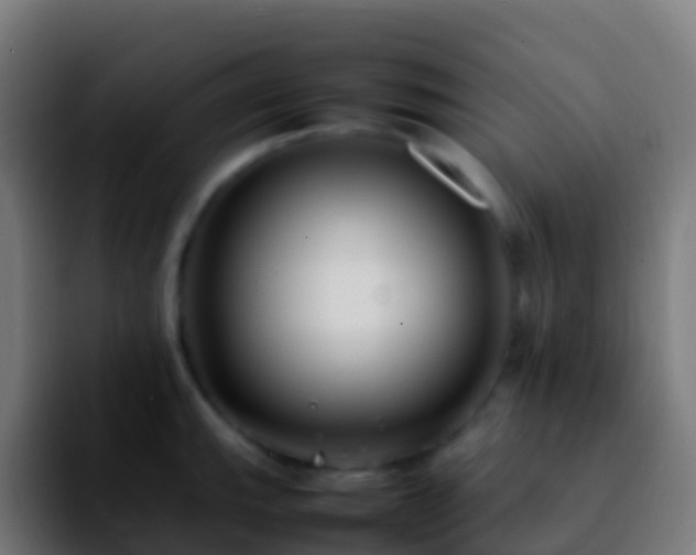 X0000092251143200709211057