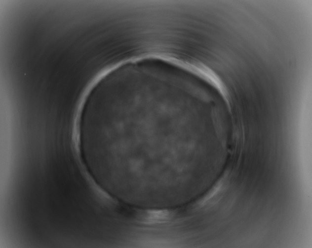 X0000092251144200709211057