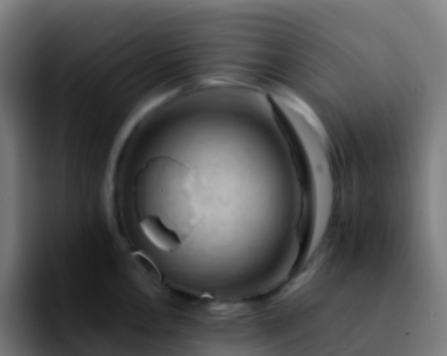 X0000092251146200709211057
