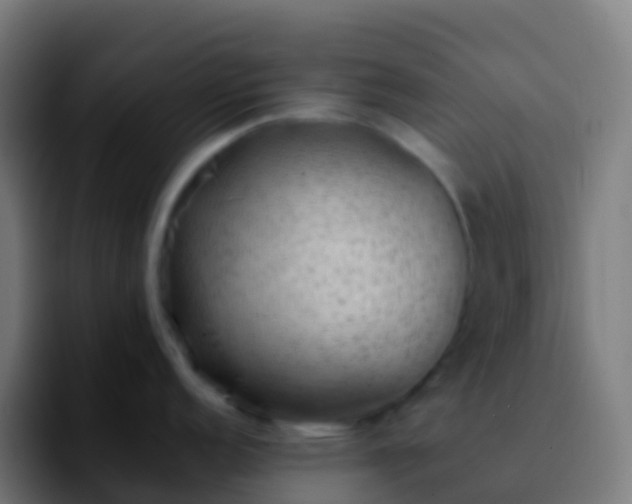 X0000092251152200709211057