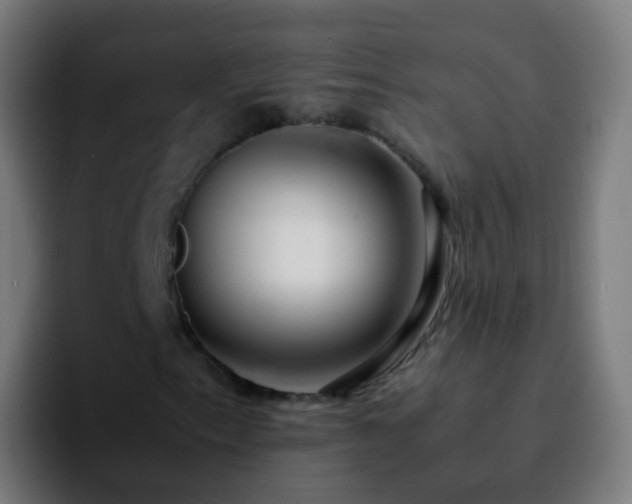 X0000092251153200709211056