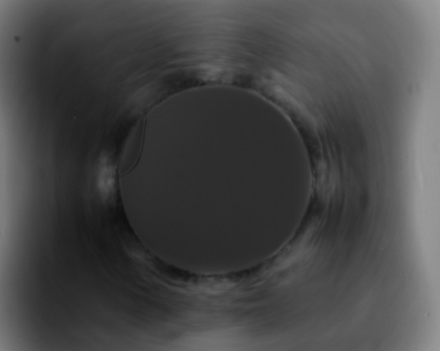 X0000092251154200709211056