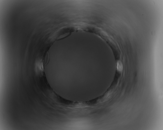 X0000092251155200709211056