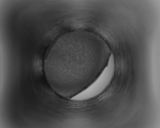 X0000092251156200709211056
