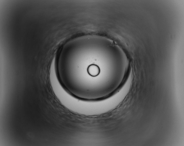 X0000092251157200709211056