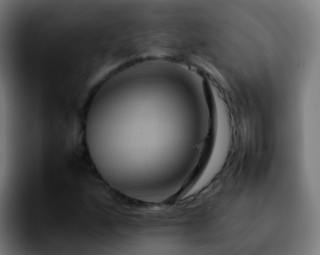 X0000092251160200709211056