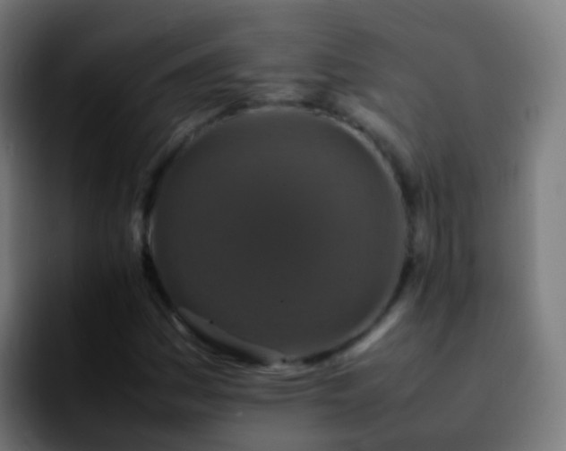 X0000092251161200709211056