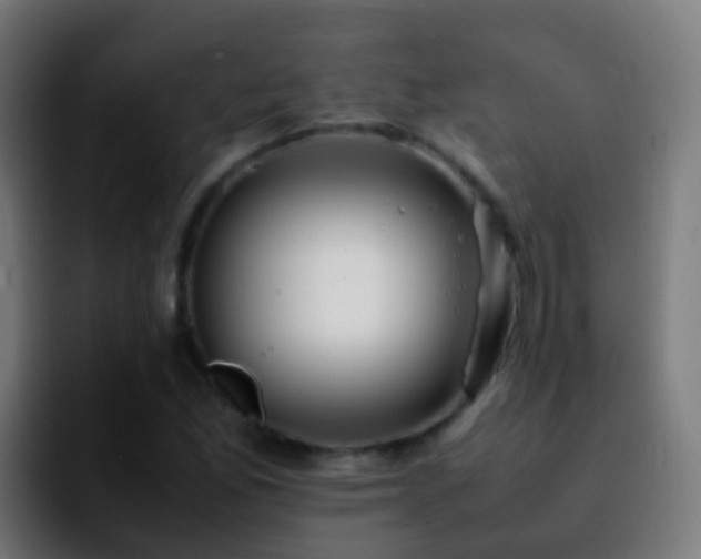 X0000092251165200709211056