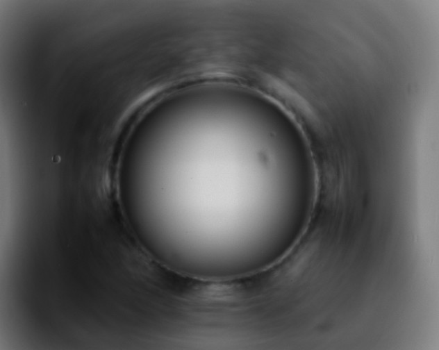 X0000092251166200709211056
