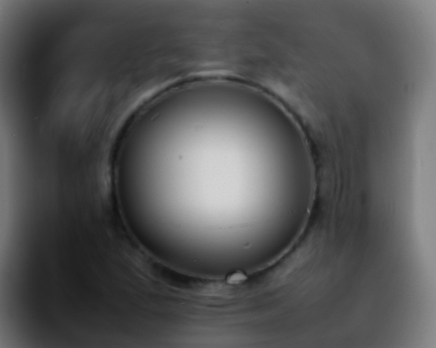 X0000092251167200709211056