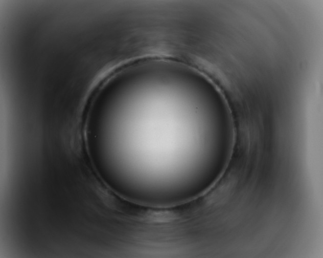 X0000092251168200709211056