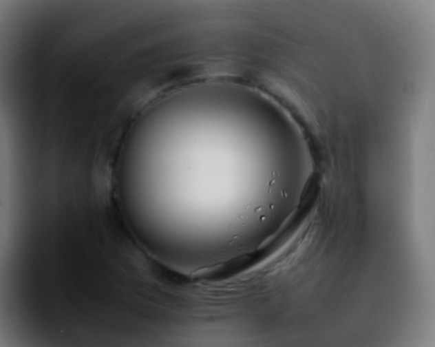 X0000092251169200709211056