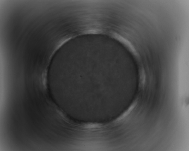 X0000092251170200709211056