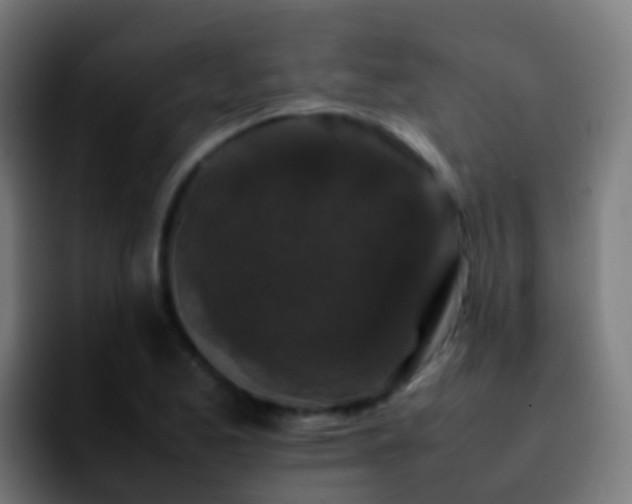 X0000092251173200709211056