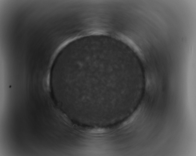 X0000092251174200709211056