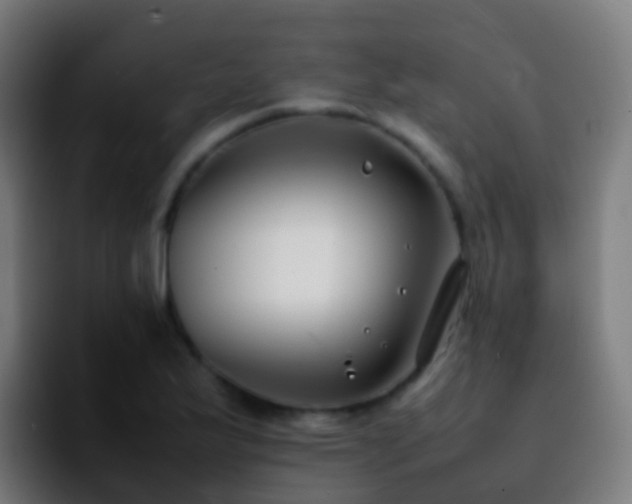 X0000092251175200709211056